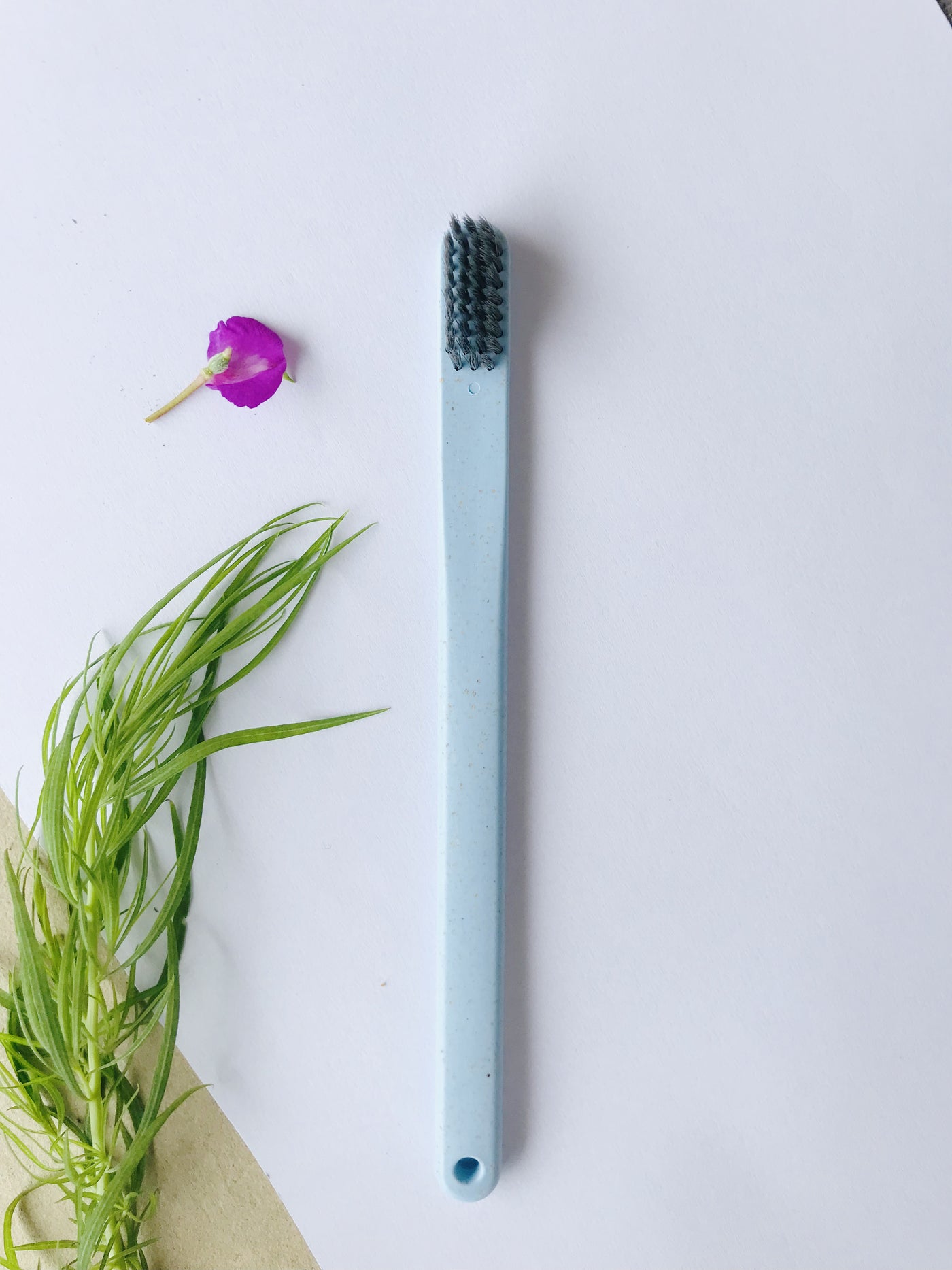 Wheat Straw Toothbrush (Pack of 4)- Bambooheart